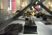 museo di storia naturale bologna 8-2022 4706